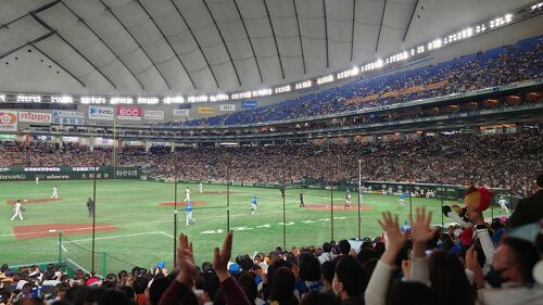 観戦の快適性を高める基本アイテム