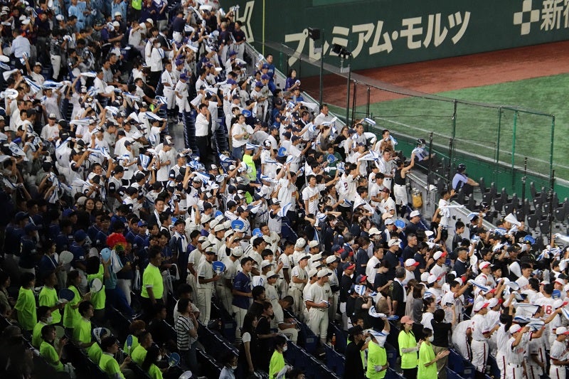 投手戦を楽しむための観戦術