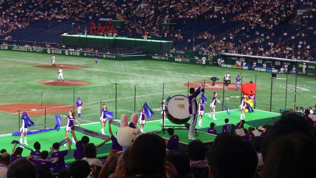 まとめ|投手戦の醍醐味を味わいつつ観戦を楽しもう!